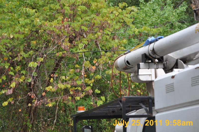 Entergy 128